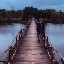bích tảo - wooden bridge