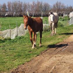 ...und die kommen immer näher.