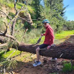 Die Räder haben es schon auf die andere Seite geschafft. 😉