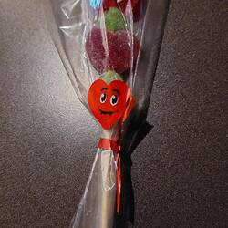 Von Luci (Parkwächter vor der Klinik) zum Valentinstag bekommen 🥰