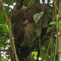 Mutter mit Kind! Ich weiß, man sieht es nicht