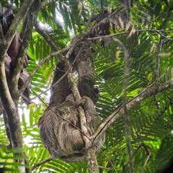 Noch eins!!! Jonah hat sich sehr gefreut!!!