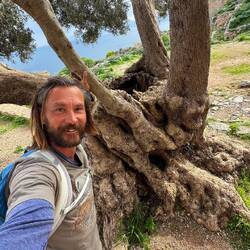 Schon was älter die Olive