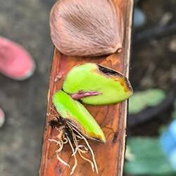 Soo sah er vorher aus