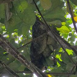 Und das letzte heute...