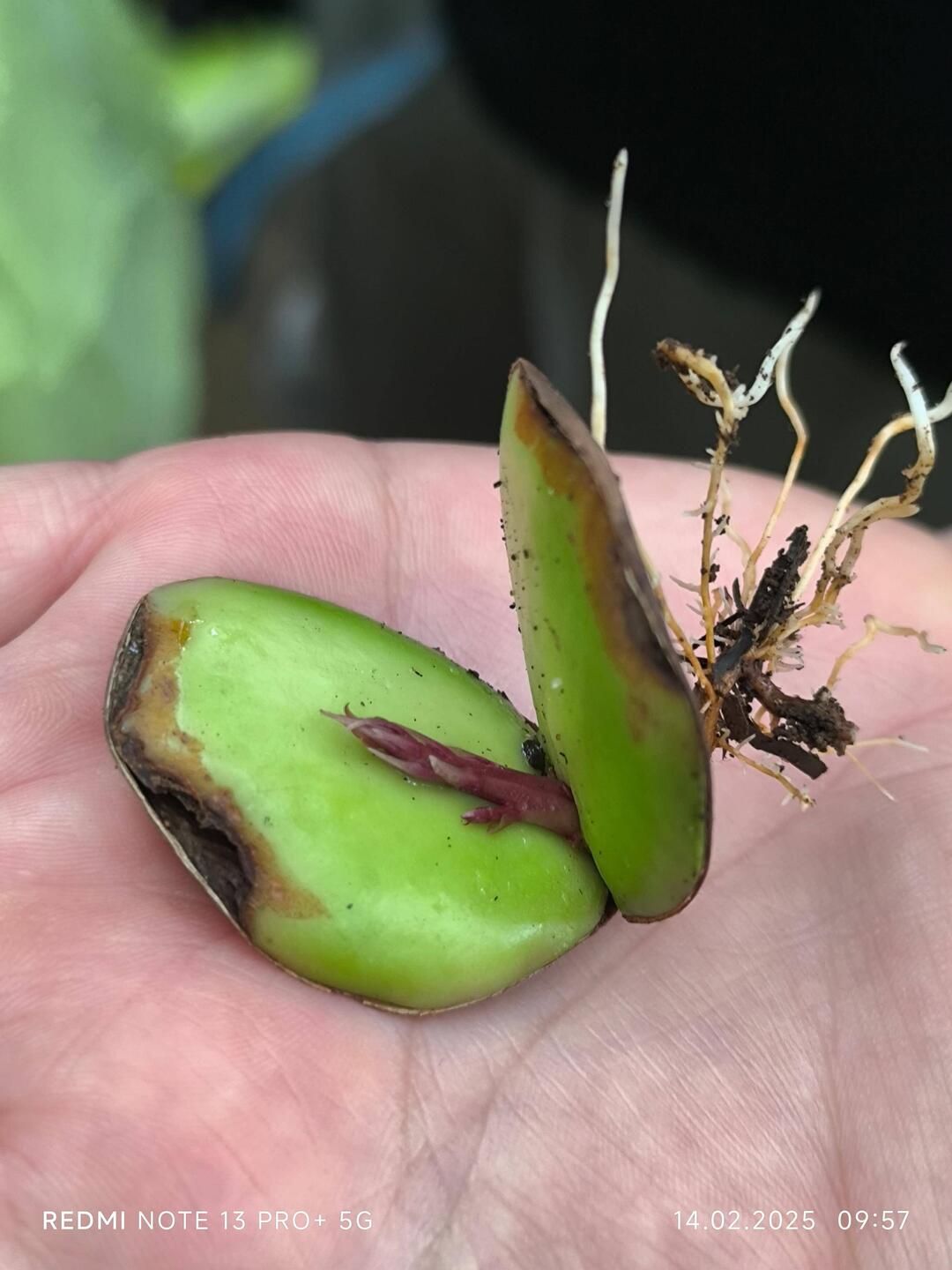 Einer der schon wieder nach oben will