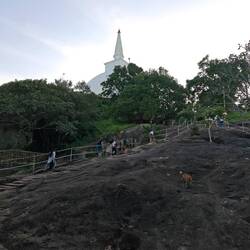 Felstreppen zur Maha Stupa hoch