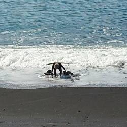 The salt maker going down to the ocean to collect the water.