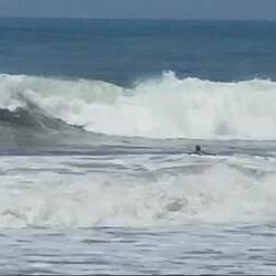 The surfers were having a blast!