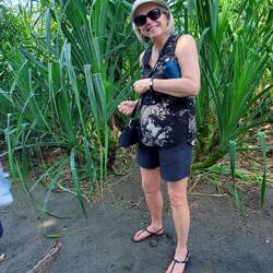 The pandan tree!! This is what my green birthday cake was made from!!