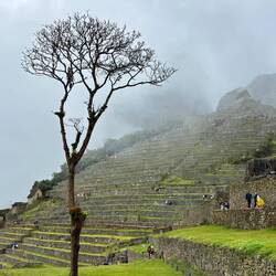 There was a serenity there in the morning