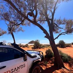 Rose am Lake Ballard...