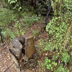 Spure vom Bärgbau ofem Miner's Track