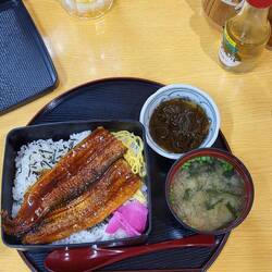 Aal, Unagi, auf Reis und Misosuppe