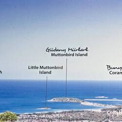 Muttonbird Island