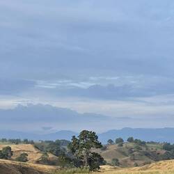 Das hügelige Farmland der Familie Alexander hatte es dem Film-Scout von Peter Jackson angetan...