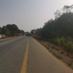 Eine Art kleine Parade auf der Straße, mit Maskenträger und Musikern