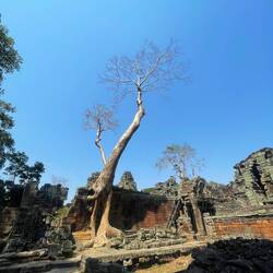 Preah Khan 13/14