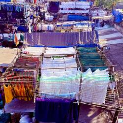 Our first stop was to Dhobi Ghat, an open air laundry