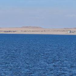 Palm trees line the road from Walvis Bay to Swakopmund where the dunes meet the sea