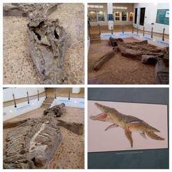 El Fosil de Monquira