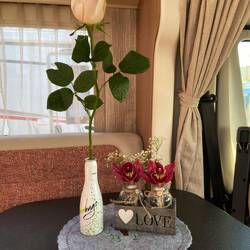 Am Abend gibt es noch eine Rose dazu🌹