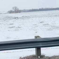 Bald eagle, kinda seemed like a stare down. Who's watching who?!