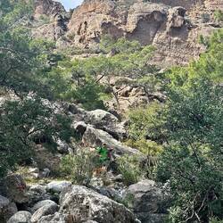 Butterfly Gorge