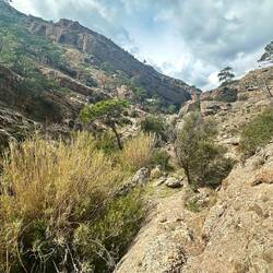Butterfly Gorge