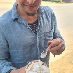 Frisches Kokosnuss Eis