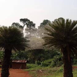 Hier haben die Spinnen ganze Arbeit geleistet