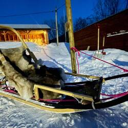 Notice the cozy reindeer fur lined passenger seat on the sled
