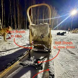 Dog sled 101