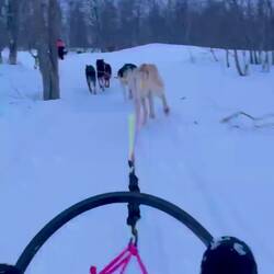 The ride was little hair raising at times 😆