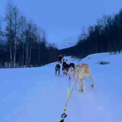 A view from David & Aimee's sled. The sound you hear at the end is the break being applied