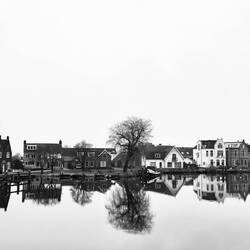 Moody Amstel shot