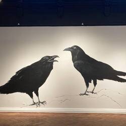 Museum der schönen Künste.