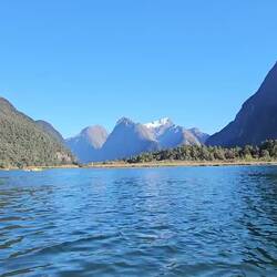 Taxi boat jusqu'au départ du sentier du Milford track