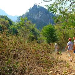 Wunderschöne Landschaft, meist ging es an Teakbäumen vorbei