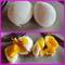 The perfect poached eggs!