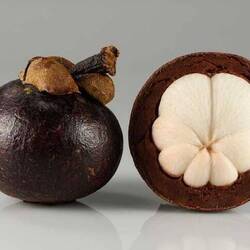 Online photo of mangosteen before opening!