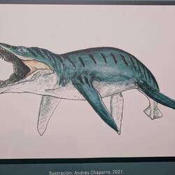 Kronosaurus früher