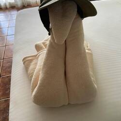 Kreative Zimmermädchen