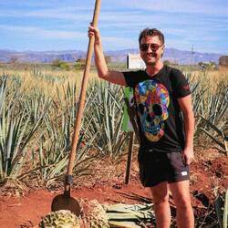 Christophe erntet die Piña, das Herz der Agave