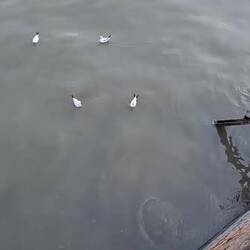 Willkommen in Mumbai