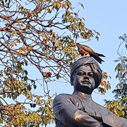 Ein epischer Ort, den sich dieser Milan hier ausgesucht hat :-)