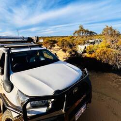 Rose fühlt sich wohl