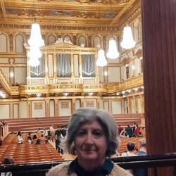 Musikverein brahms saal