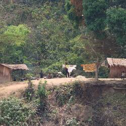 ...sind die Behausungen super einfach