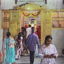 Going into Krishna service